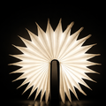 Book Lamp