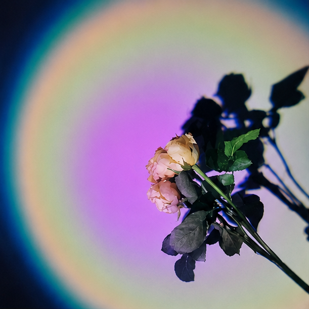 Sunset Lamp Projector
